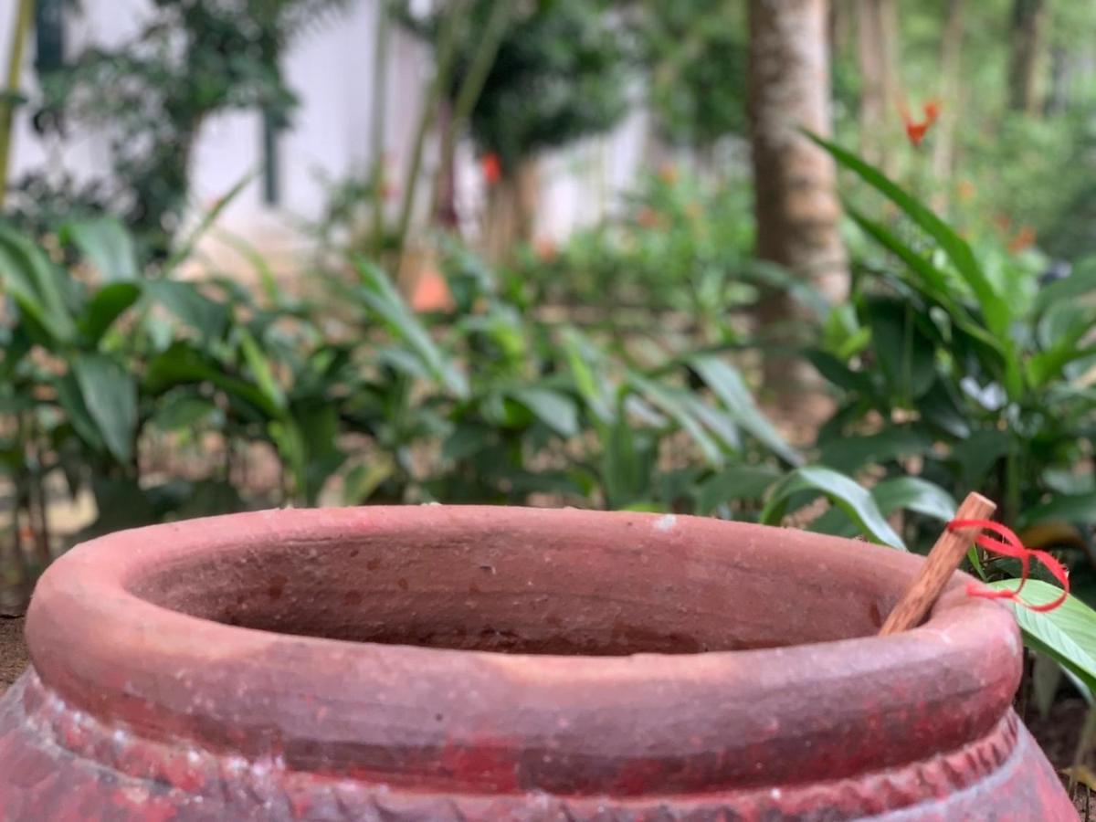 Greenspace Resort Phuquoc Phú Quốc Ngoại thất bức ảnh